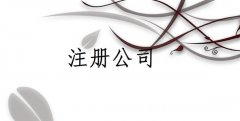 設(shè)立分公司應具備下列條件